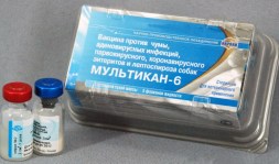 multikan_6__instrukciya_po_primeneniyu_dlya_sobak_i_shhenkov,_opisanie_i_analogi4 (1)